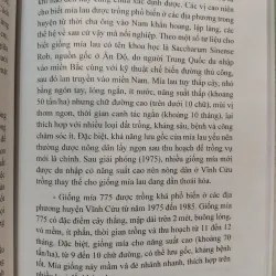 NGHỀ NẤU MÍA ĐƯỜNG THỦ CÔNG TRUYỀN THỐNG Ở VĨNH CỬU 975490