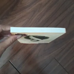 Raffles the definitive biography 734274