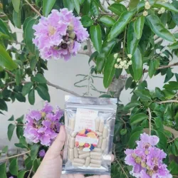 Detox đêm korea 971558