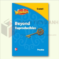 Sách Tiếng Anh - Reading Wonders - Beyond Reproducibles Practice - Grade 1,2,3,4,5,6 21791