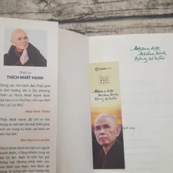 Không diệt Không sanh Đừng sợ hãi. Thiền sư Thích Nhất Hạnh 595999