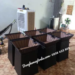 Giỏ trưng bày nông sản 992844
