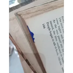 At home around the world - Delia Goetz 585619