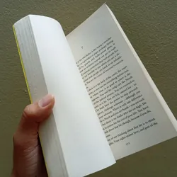 Apple tree yard,sách ngoại văn tiếng Anh english book  716990