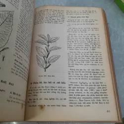 NHỮNG CÂY THUỐC VÀ VỊ THUỐC VIỆT NAM - Đỗ Tất Lợi 406076