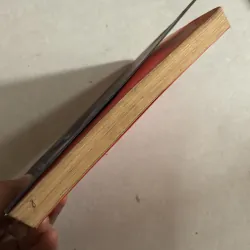 Charlie Bone và quả cầu xoắn thời gian Tập 2- Jenny Nimmo 778154