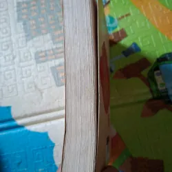 Ai Là Mẹ Anh? 796938