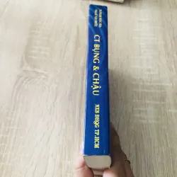 CT BỤNG & CHẬU 1017663