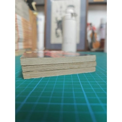 Truyện tranh nhiếp ảnh tử thần 478296