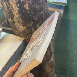 THÀNH CỔ SÀI GÒN: MẤY VẤN ĐỀ VỀ TRIỀU NGUYỄN - LÊ NGUYỄN  1023182