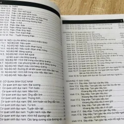 GIẢI PHẪU NGƯỜI - GIẢI PHẪU NGỰC BỤNG 989633