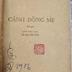 Truyện CÁNH ĐỒNG MẸ, nhà văn Chyngyz Torekulovich Aitmatov 706222