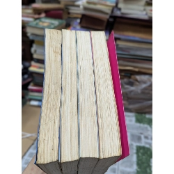 Sông Côn mùa lũ - Nguyễn Mộng Giác ( trọn bộ 2 tập )