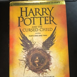 HARRY POTTER AND THE CURSED CHILD (Hardcover)