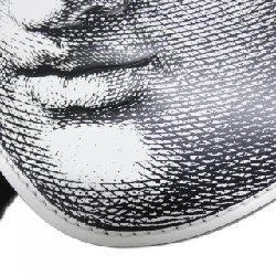 Túi đeo vai Louis Vuitton Monogram (LVxFornasetti) Face Pochette M80921 - Hàng hiệu Chính hãng 764135