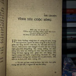 Hoa dại     975933