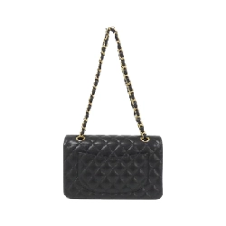 Túi xách vai Chanel 1113 - Hàng hiệu Chính hãng 768261