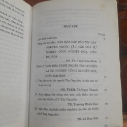 Văn hóa CÁC DÂN TỘC TÂY NGUYÊN thực trạng và những vấn đề đặt ra 472321