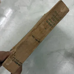 Người giàu người nghèo (Tập 2) 1029667