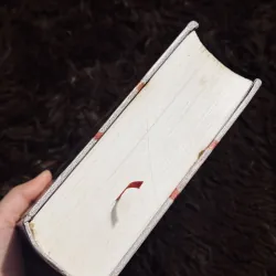 Hiệp sĩ Sainte - Hermine 975546