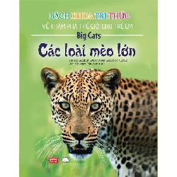 Bách Khoa Tri Thức Về Khám Phá Thế Giới Cho Trẻ Em - Các Loài Mèo Lớn - Jonathan Sheikh