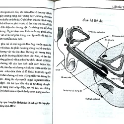TẤT CẢ NHỮNG GÌ THIẾU NỮ MUỐN BIẾT - TRUDE AUSFELDER 1029798