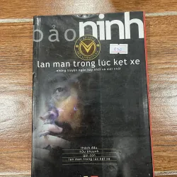 Lan man trong lúc kẹt xe - Bảo Ninh (7)