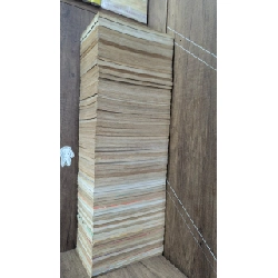 Truyện Animorphs Người Hóa Thú - Trọn Bộ 70 Tập 122110