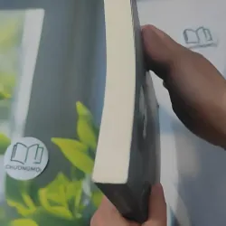 Từ "Đường Cách Mệnh" Đến "Sửa Đổi Lối Làm Việc" - PGS.TS. Bùi Đình Phong 1018899