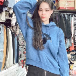 Áo hoodie mỹ nhật hàn chất đẹp 