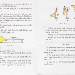 Tự nhiên và xã hội lớp 4 xưa 560251