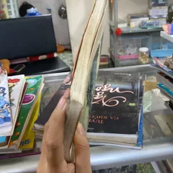 Tuyển tập 101 ca khúc Tiền chiến & lãng mạn  568602