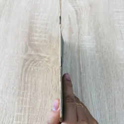 KỸ THUẬT TRỒNG CÂY ĐƯỜNG CÁI THÀNH PHỐ, NHÀ MÁY 956954