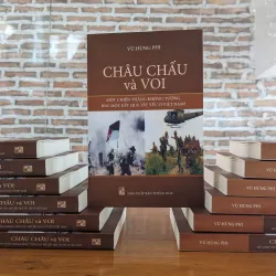 Châu chấu và Voi: Một chiến thắng không tưởng hay một kết quả tất yếu ở Việt Nam 748118