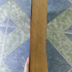 Tiểu thuyết cổ Trung Quốc - Lương Duy Thứ & Hồ Sĩ Hiệp & Đinh Phan Cẩm Vân 756033