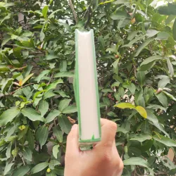 Thoát Bẫy Tâm Lý Giao Dịch Trong Chứng Khoáng 926927