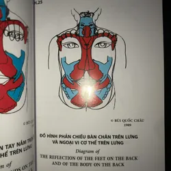 Chữa bệnh bằng đồ hình phản chiếu & đồng ứng theo pp diện chuẩn điều khiển liệu pháp 736732