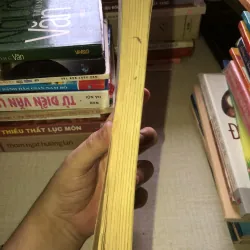 Trái Tim Kiều 935245