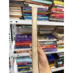 9 Mẫu Đàn Ông Dễ Kiếm Tiền Nhất - Tạ Ngọc Ái 1062988