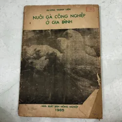 Nuôi gà công nghiệp ở gia đình - Dương Thanh Liêm 