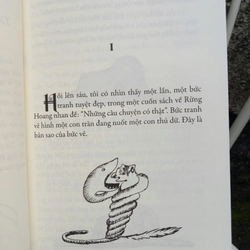 Hoàng tử bé 543384
