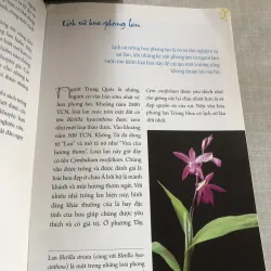 Bốn mùa với phong lan 778942