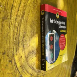 TRÍ THÔNG MINH CẢM XÚC- STEVEN J. STEIN 702053