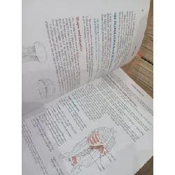 YOGA Anatomy - Leslie Kaminoff, Amy Matthews