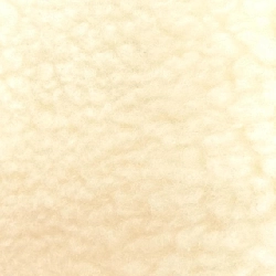 【Mã giảm giá】Patou PATOU áo khoác 645719