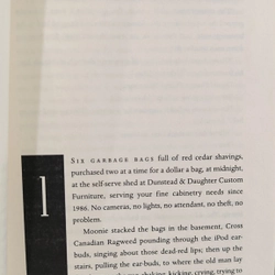 Dark of the Moon (Bìa cứng) (Virgil Flowers, #1) by John Sandford 460699