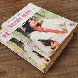 Tiểu thuyết Mỹ của tác giả Harold Robbins: NGƯỜI MẪU, trọn bộ 2 tập 703645