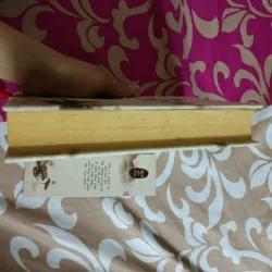 Gặp lại chốn hồng trần sâu nhất - Bạch Lạc Mai ( bìa cứng ) 991216