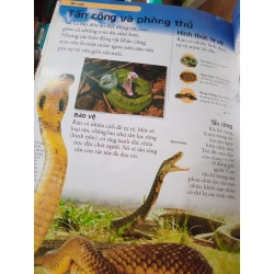 Bách khoa động vật - Lê Ngân dịch 498966
