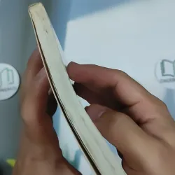 Hạt Chò Chỉ - Lê Minh 798479